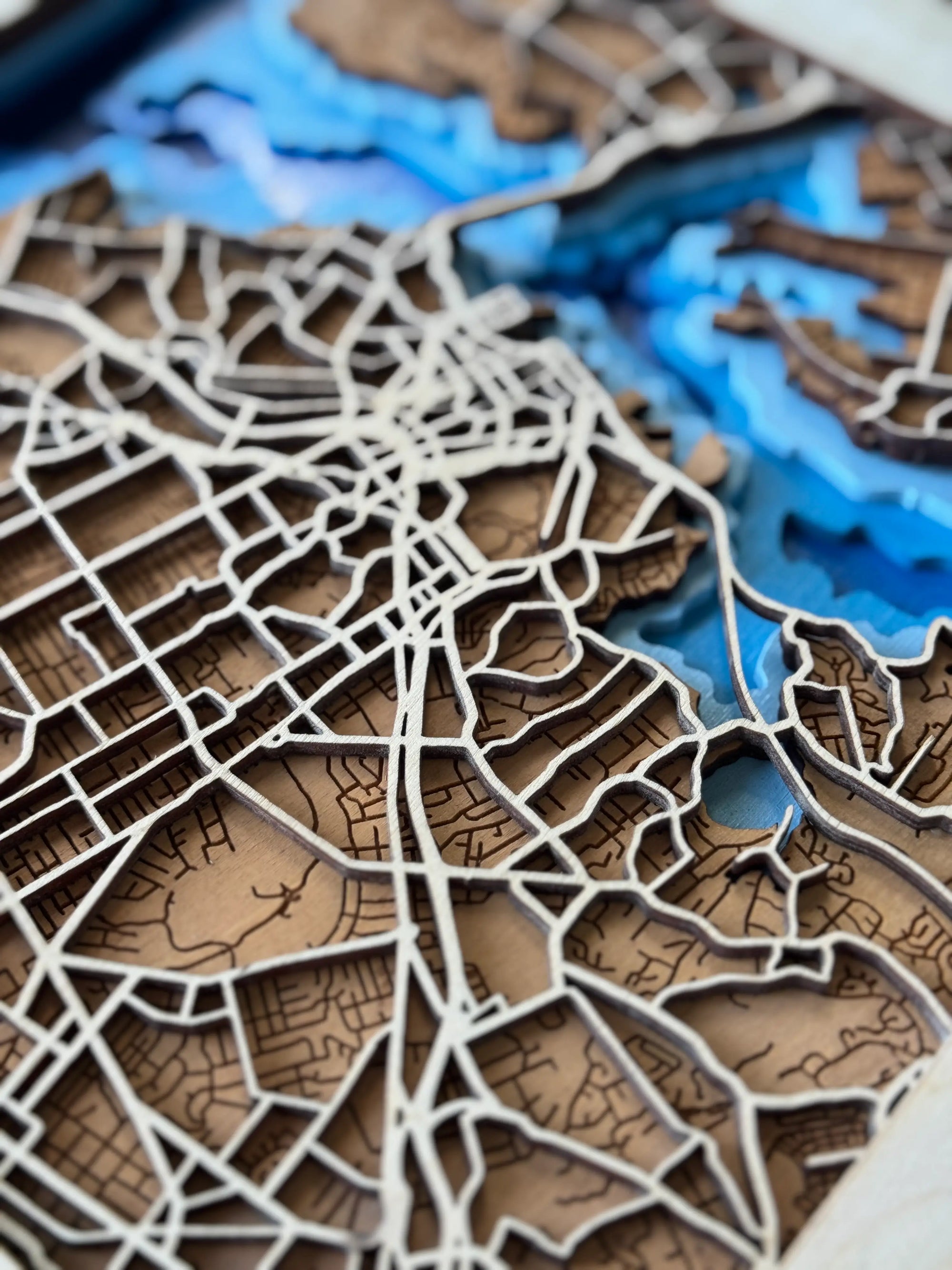 Auckland Map