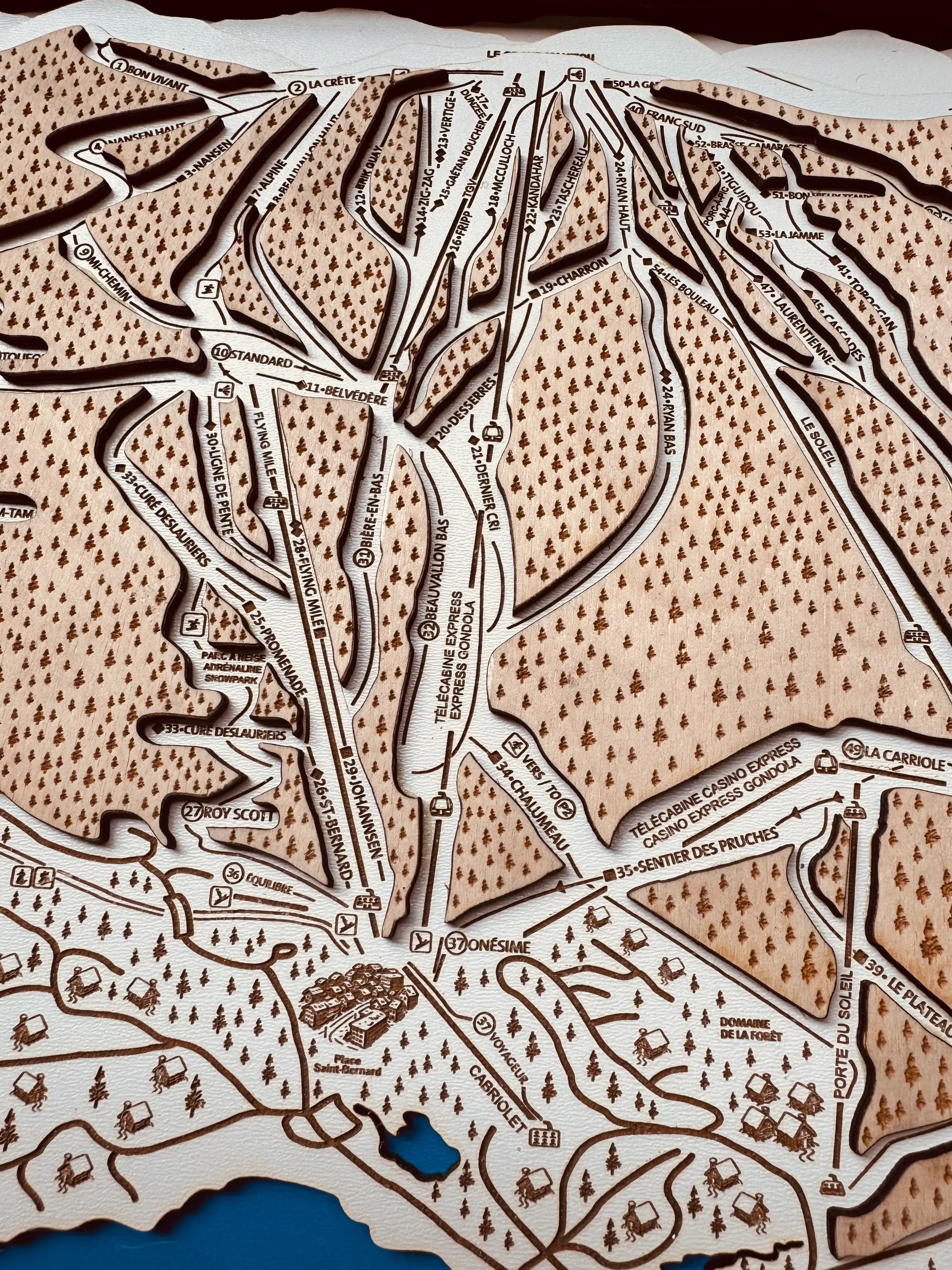 Custom Ski Trail Map